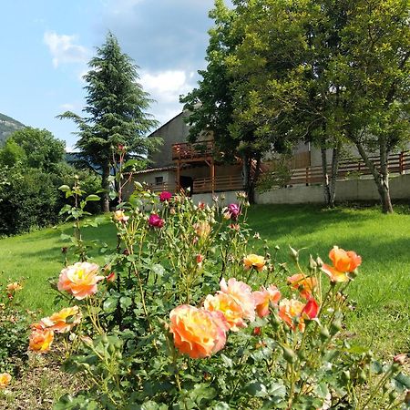 Gite En Haute Provence Montfroc Zewnętrze zdjęcie