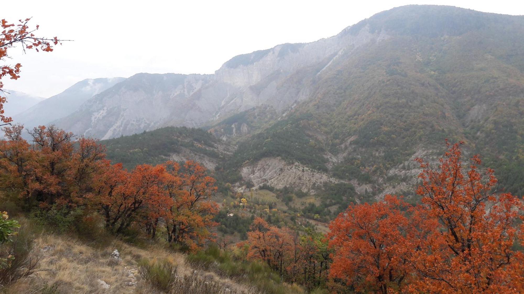 Gite En Haute Provence Montfroc Zewnętrze zdjęcie