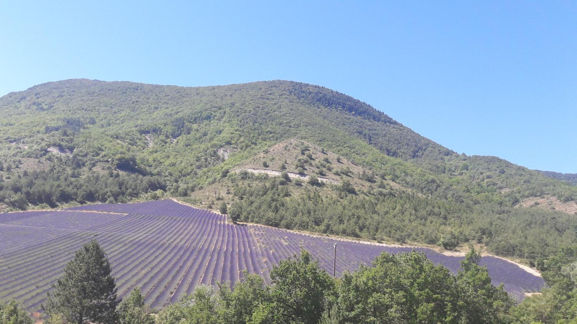 Gite En Haute Provence Montfroc Zewnętrze zdjęcie